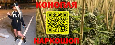 ешки Гагарин