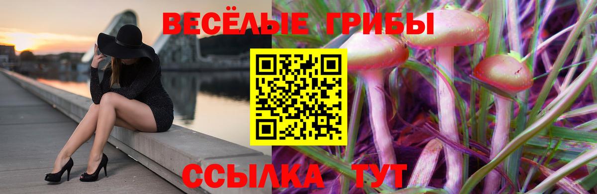 Псилоцибиновые грибы мухоморы  Вход с VPN  Октябрьский 
